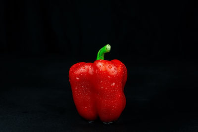 Close-up of red bell pepper against black background