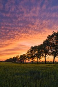 Scenic view of field against sky during sunset