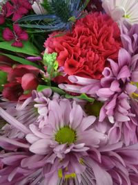 High angle view of various flowers