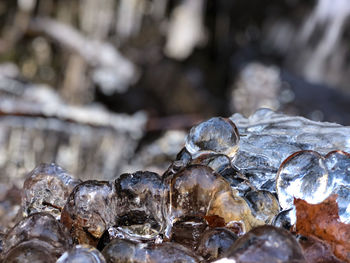 Close-up of frozen rock