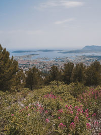 Scenic view of sea against sky