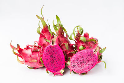 Close-up of pink flowers against white background