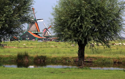 Trees on field against sky