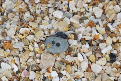 Full frame shot of shells on pebbles