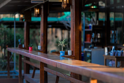 Potted plant on table in restaurant