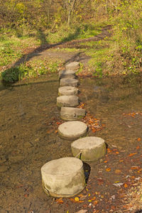 Stone wall by footpath in forest