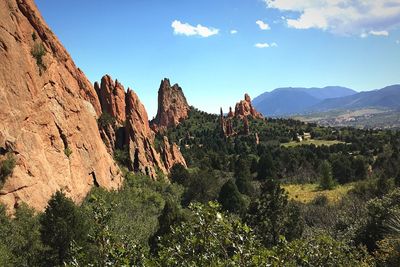 Low angle view of trees against sky