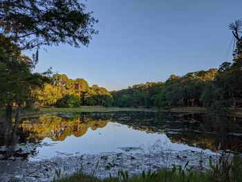 Scenic view of lake against clear blue sky