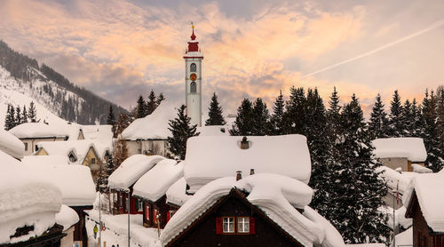 Snow covered trees and buildings against sky