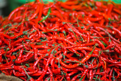 Close-up of red chili peppers