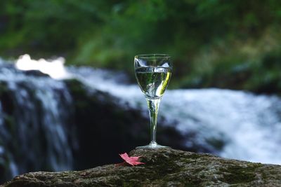 Close-up of water drop on rock against trees