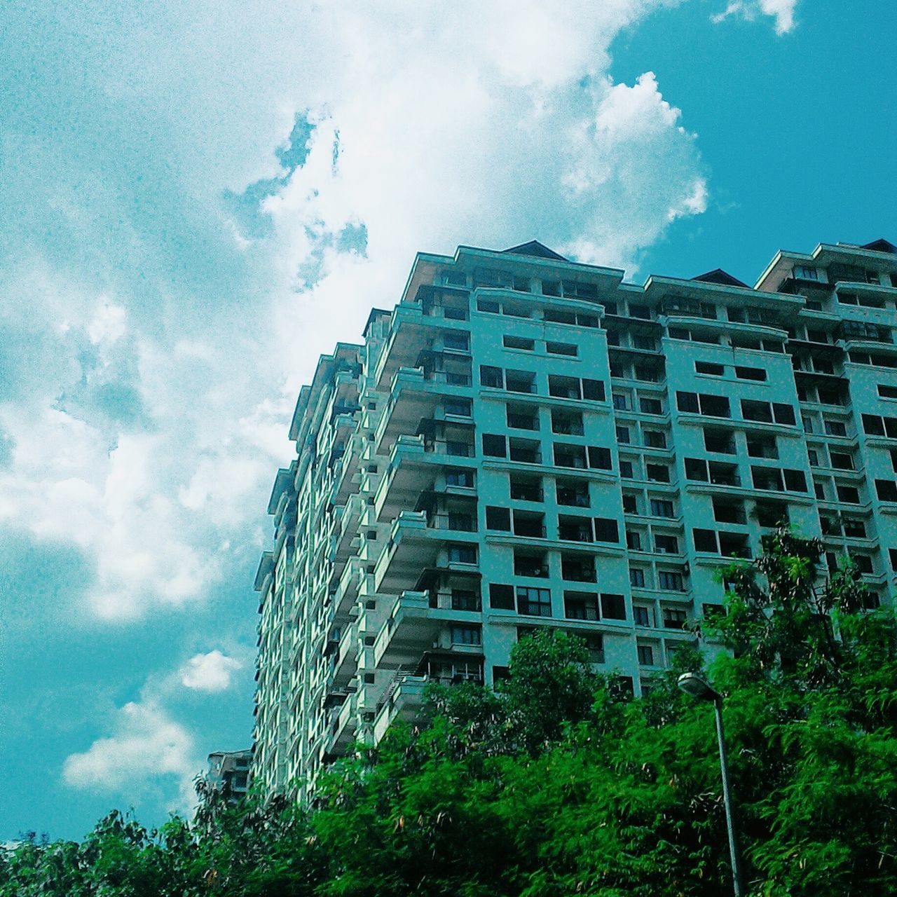 building exterior, architecture, built structure, low angle view, sky, tree, cloud - sky, growth, building, blue, city, residential building, day, cloud, outdoors, residential structure, no people, window, cloudy, house