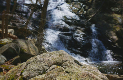 Close-up of waterfall in forest