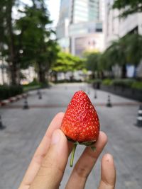 Close-up of hand holding strawberry