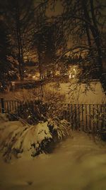 Bare trees on snow covered landscape at night