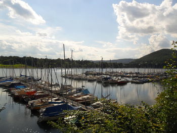 Boats moored at harbor