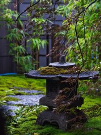 Fountain in garden