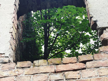 Stone wall of building