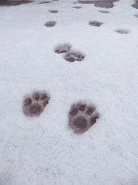 High angle view of footprints on sandy beach