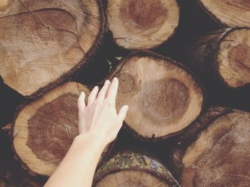 Cropped hand of woman touching logs