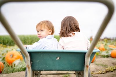 Rear view of siblings sitting in wheelbarrow at pumpkin patch