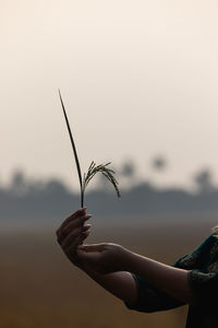 A woman's hand in mehndi holds a wheat sprout in india, symbolizing harvest