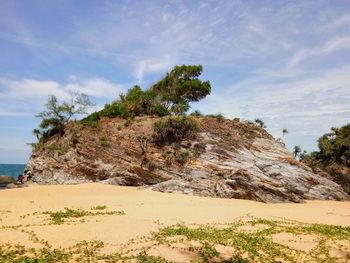 Scenic view of beach against sky