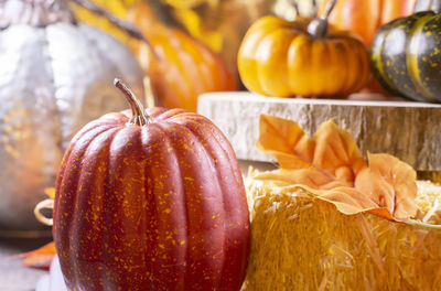 Small pumpkin by hay covered with leaves, pumpkins, and  squash on wood with a golden background