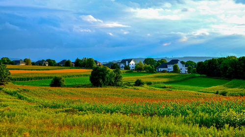 Scenic view of field against cloudy sky