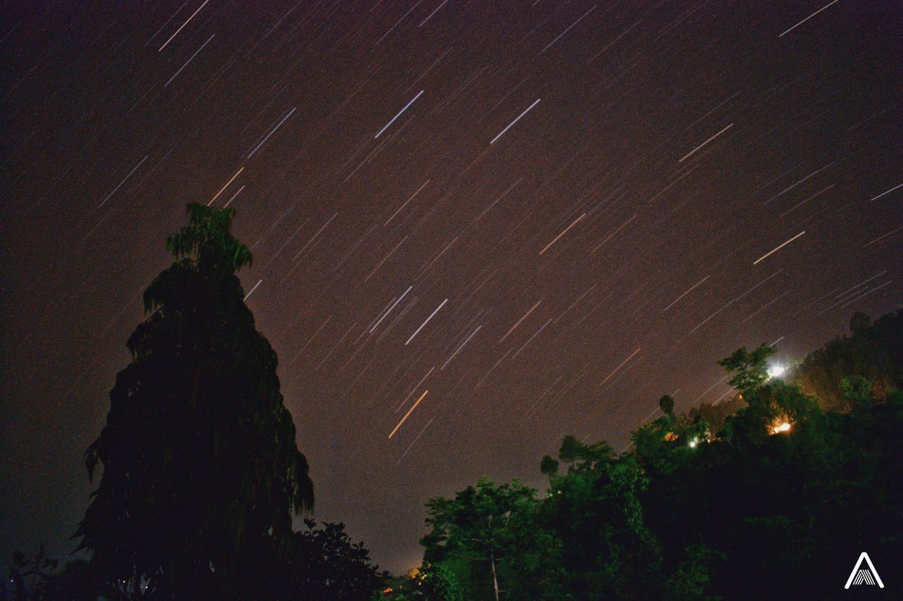 LOW ANGLE VIEW OF TREES AGAINST ILLUMINATED SKY AT NIGHT