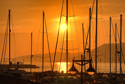 Silhouette sailboats in harbor against orange sky