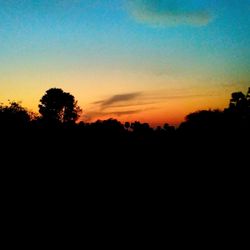 Silhouette trees against sky during sunset