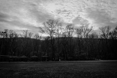 Bare trees on field against sky