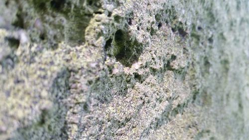 Close-up of rocks