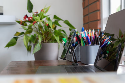 Close up of a home office desktop with a plant in the background