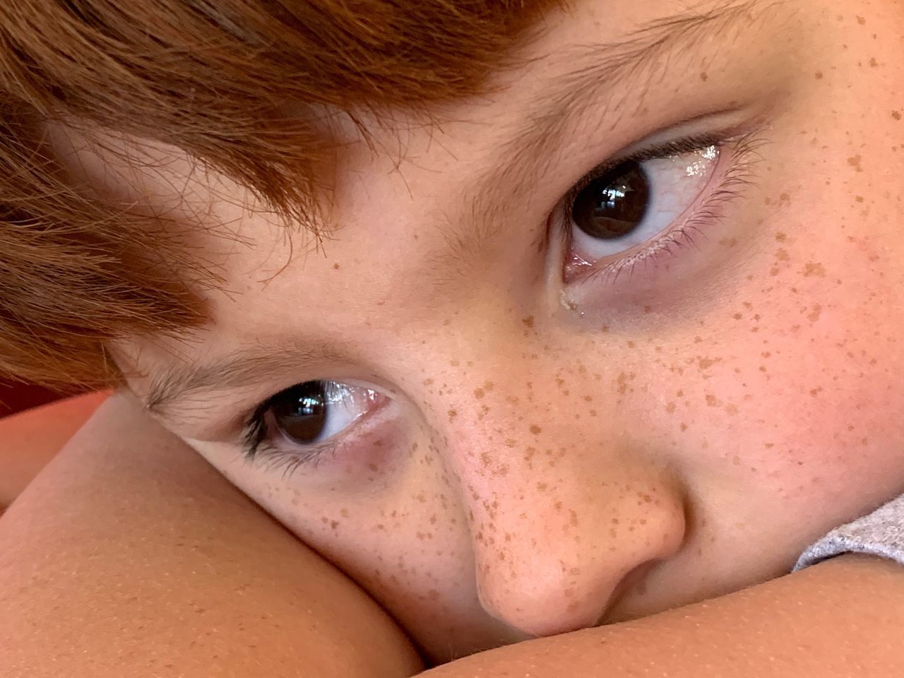 one person, close-up, portrait, childhood, child, human body part, eye, body part, human face, real people, headshot, human eye, looking at camera, innocence, lifestyles, indoors, boys, eyebrow, contemplation, eyelash