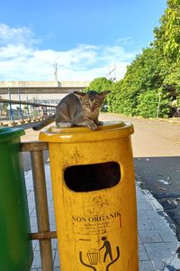 waste container