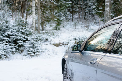 Close-up of car on snow covered tree