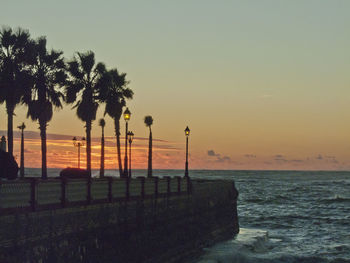 Silhouette palm trees by sea against clear sky during sunset