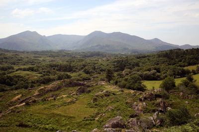 Scenic view of green landscape and mountains against sky