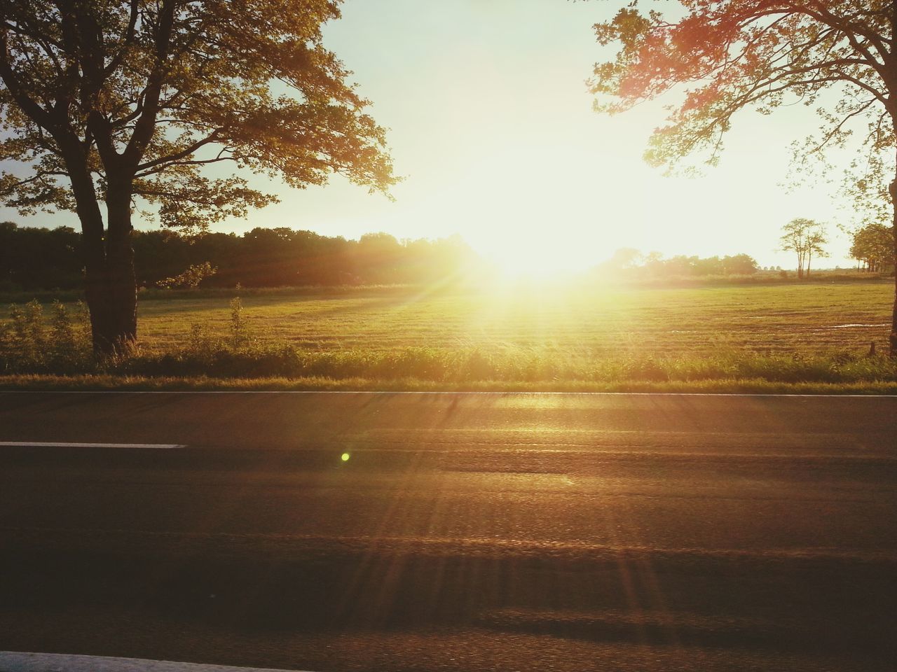 sun, sunset, sunbeam, sunlight, tree, lens flare, landscape, tranquility, tranquil scene, transportation, road, scenics, beauty in nature, nature, field, sky, silhouette, bright, clear sky, no people