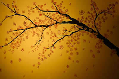 Close-up of silhouette tree against sky