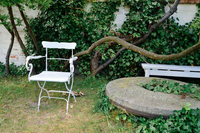 Chairs against trees