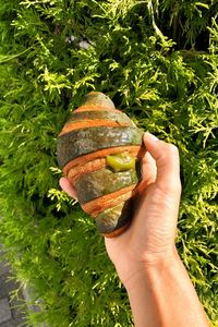 Midsection of person holding ice cream