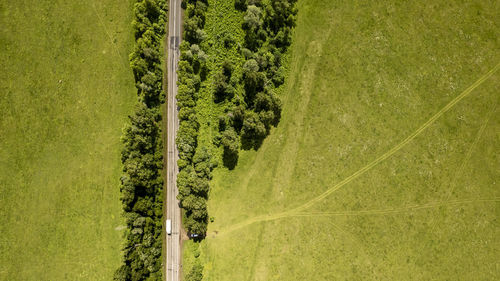 High angle view of agricultural field