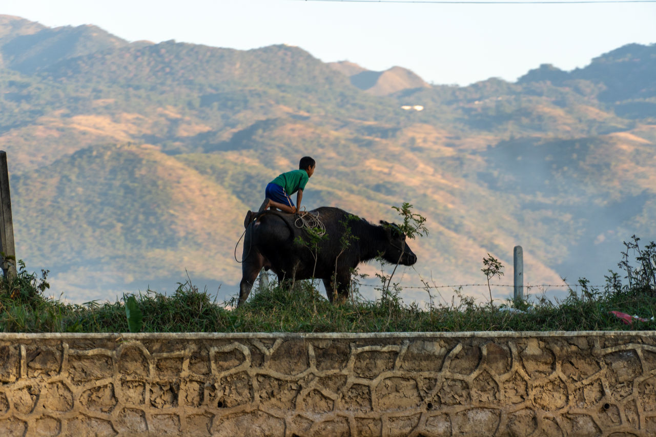 MAN RIDING HORSE IN MOUNTAINS