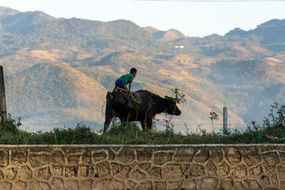 Man riding motorcycle on mountain