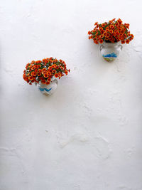 Flowers in vase on wall