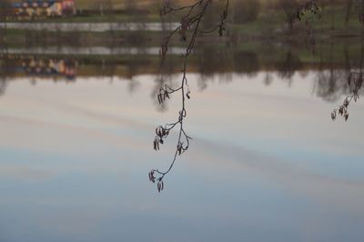 Scenic view of lake against sky at sunset