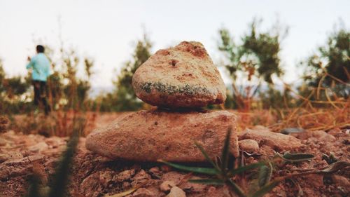 Close-up of rock on field against sky